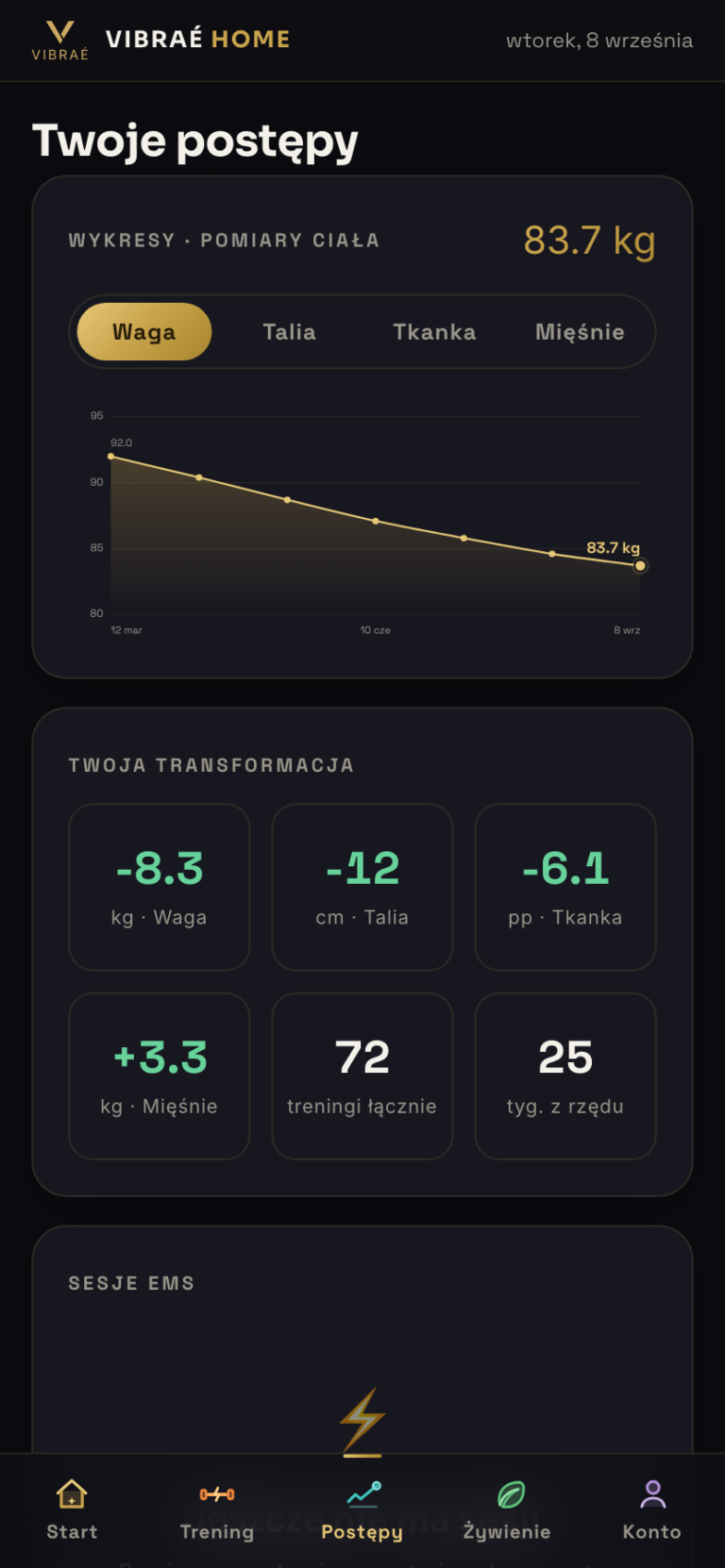 Postępy: wykres wagi i podsumowanie transformacji